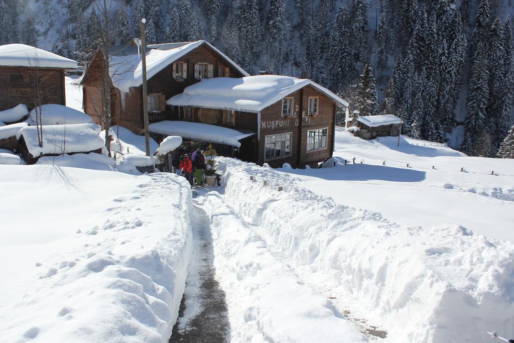 Kuspuni Dag Evi Villa Çamlıhemşin Exterior foto