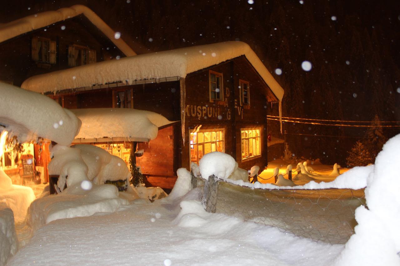 Kuspuni Dag Evi Villa Çamlıhemşin Exterior foto